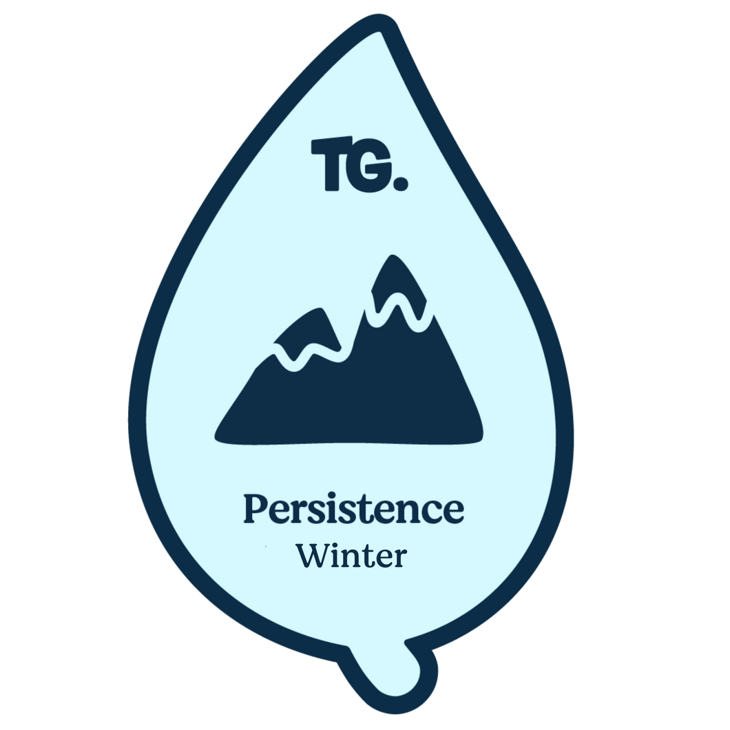 Persistence Badge - Winter 2024