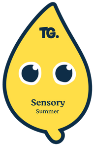 Sensory Badge - Summer 2024